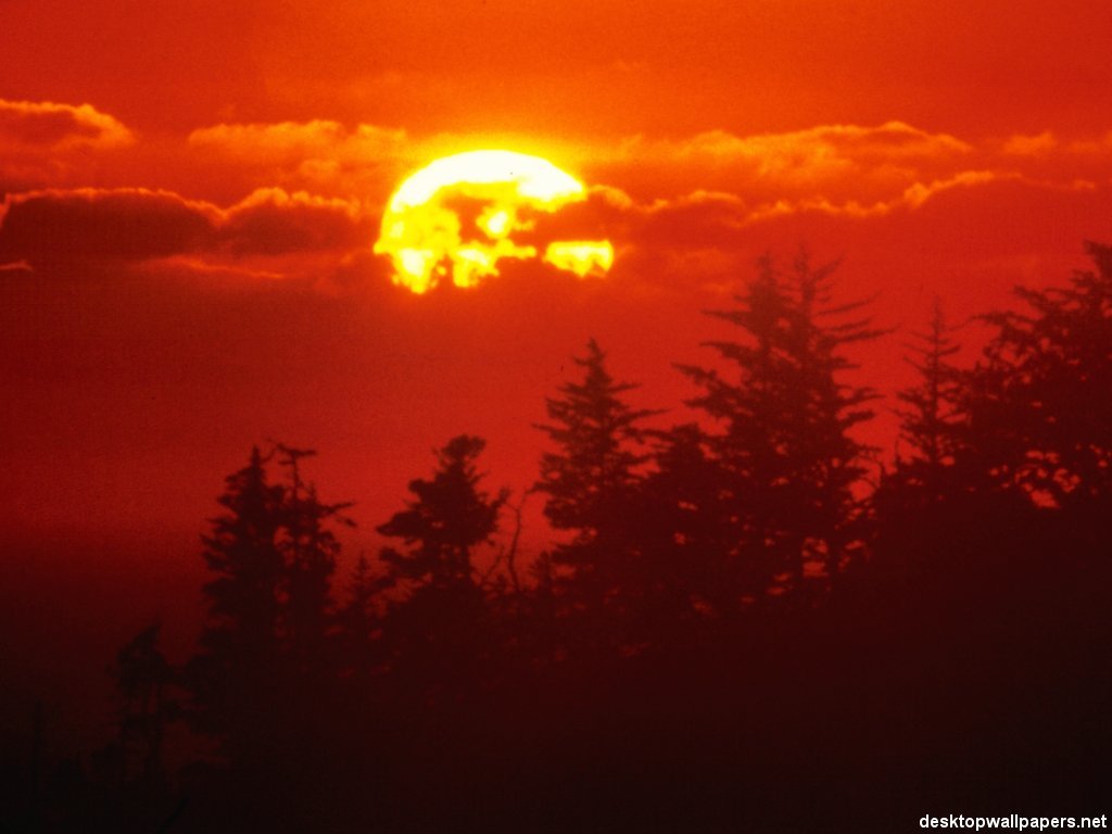 sunset03_1024x768.jpeg